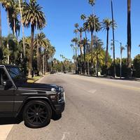 Отзыв от Виталий - DTV виза